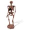 Dr. Steve Hunters GEOWorld Cave Man Dig Homo Neanderthalensis Excavation Kit - 11 pieces
